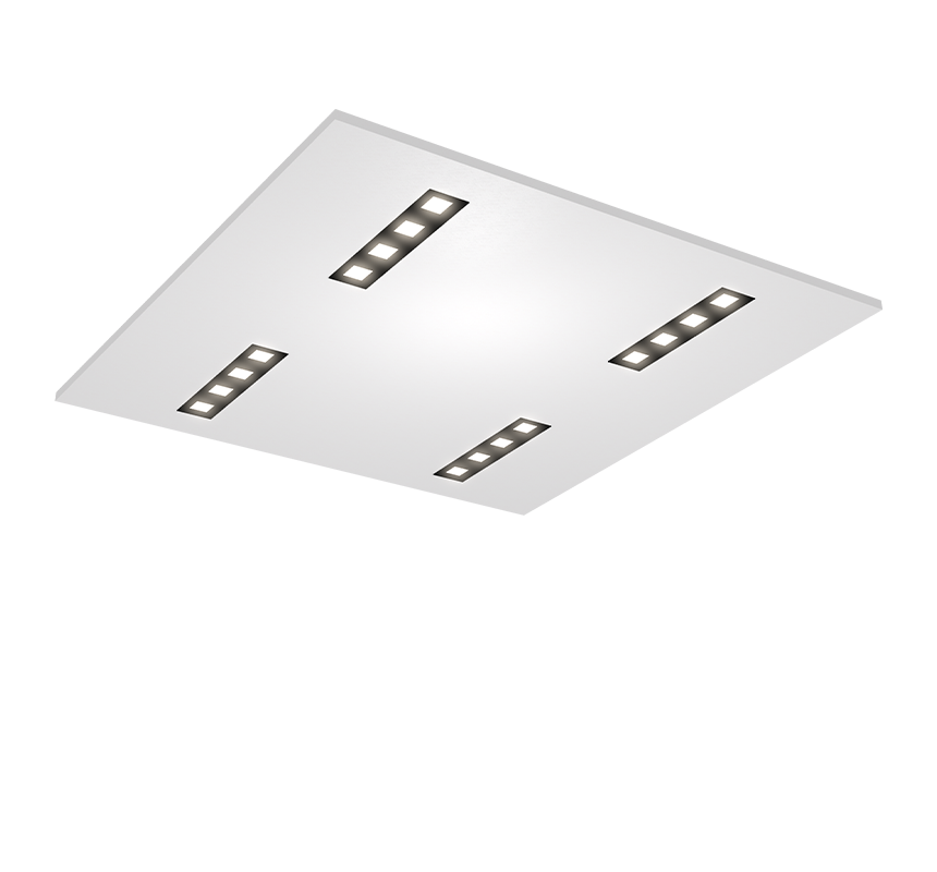 Image of Iris 600 x 600