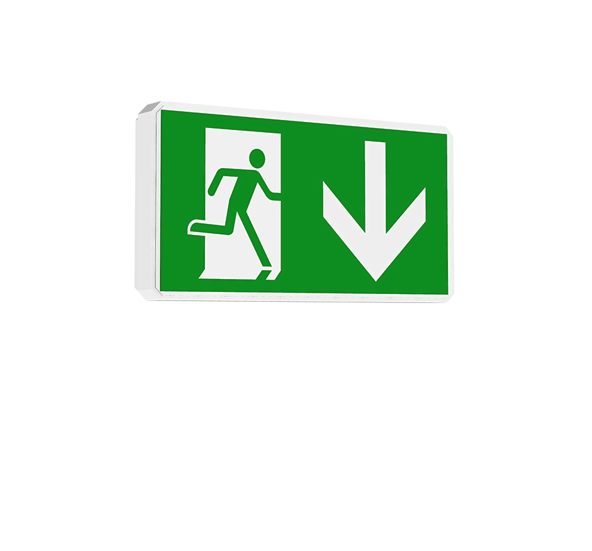 Image of Darwin IP65