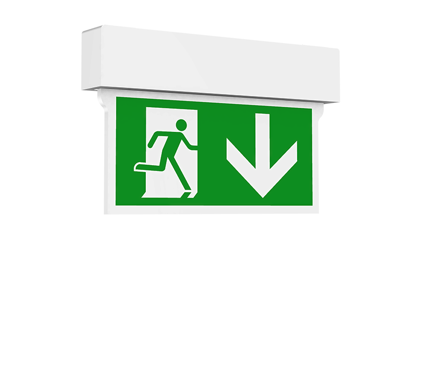 Image of Darwin Surface