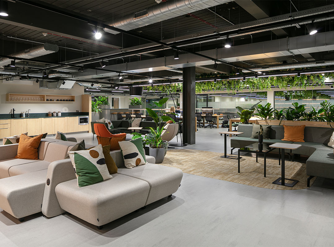 Image of Nest at Glasshouse